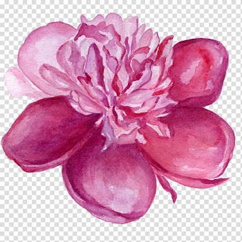 Flower Violet Watercolor painting Lilac , watercolor flower transparent background PNG clipart