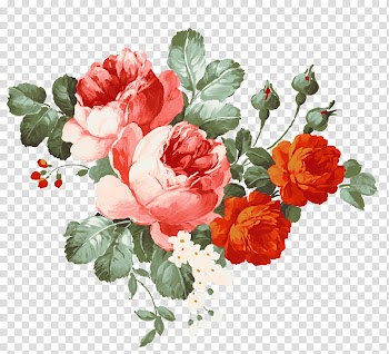 Flower Vy Tuzki, red flower illustration transparent background PNG clipart