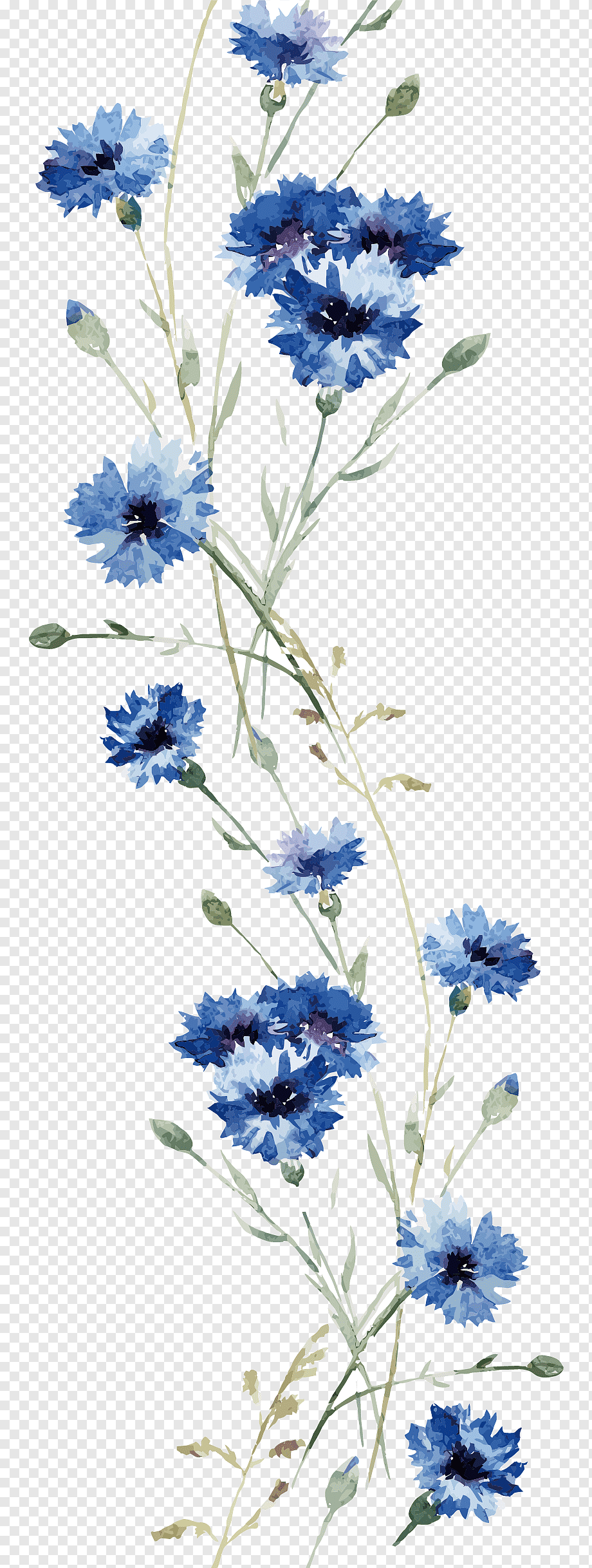Flower Wall decal, Watercolor orchid, blue cornflowers painting, watercolor Painting, watercolor Leaves, flower Arranging png