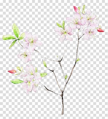 Flower Watercolor painting Art, flower transparent background PNG clipart