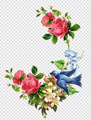 Flower Watercolor painting Decoupage Rose , conch transparent background PNG clipart