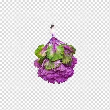 Flower Watercolor painting Drawing Art Illustration, Queen vegetables transparent background PNG clipart