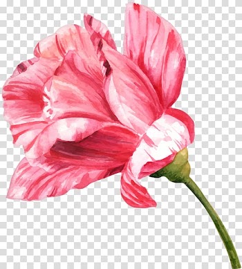 Flower Watercolor painting Drawing Bud, flower transparent background PNG clipart