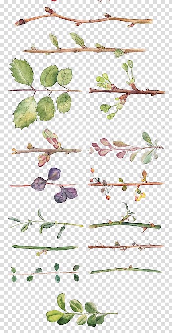 Flower Watercolor painting Drawing Floral design, All kinds of hand-painted watercolor leaves and branches, twig illustration collection transparent background PNG clipart