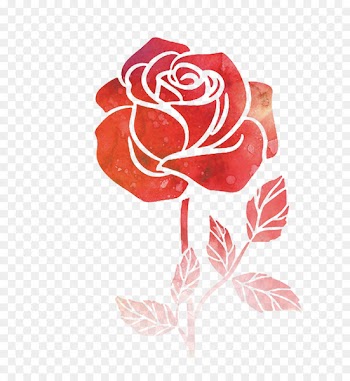 Flower Watercolor painting Drawing Rose - Watercolor flowers 
