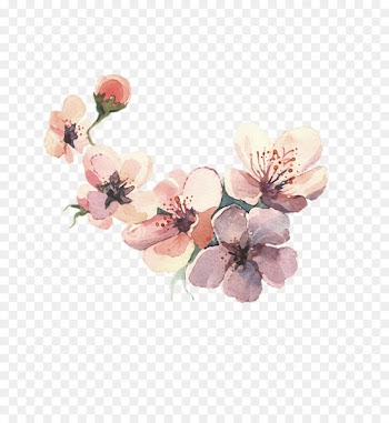 Flower Watercolor painting Drawing - water color flower 