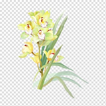 Flower Watercolor painting Drawing, Watercolor flowers transparent background PNG clipart