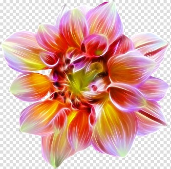 Flower Watercolor painting Floral design , dahlia transparent background PNG clipart