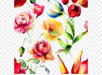 Flower Watercolor painting Floral design Petal Pattern - Beautiful watercolor flowers background 