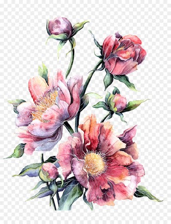 Flower Watercolor painting Floral design Printing - Watercolor pink peony in full bloom 
