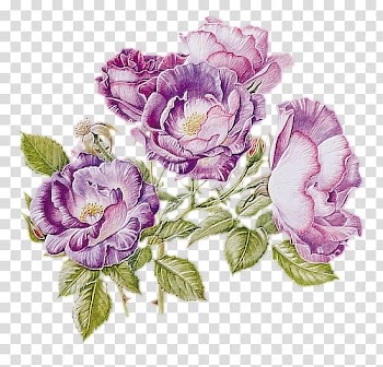 Flower Watercolor painting , flower transparent background PNG clipart