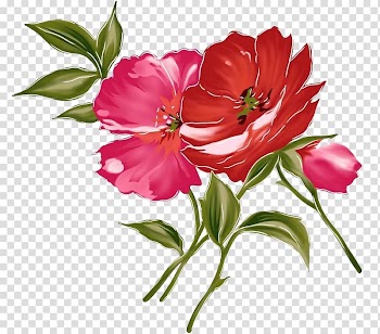 Flower Watercolor painting, flower transparent background PNG clipart