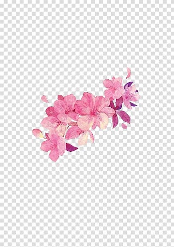 Flower Watercolor painting, Free pink flower matting transparent background PNG clipart