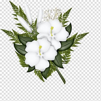 Flower Watercolor painting, hibiscus transparent background PNG clipart