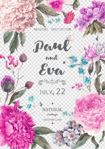 Flower Watercolor painting Illustration, Beautifully hand-painted flowers material plant, Paul and Eva advertisement transparent background PNG clipart