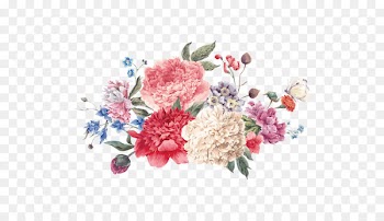 Flower Watercolor painting Illustration - Chinese wind peony vector 