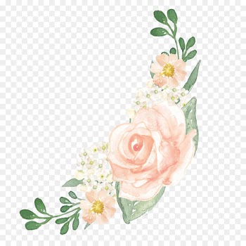 Flower Watercolor painting Illustration Garden roses Wedding - flower 