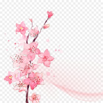 Flower Watercolor painting Ink wash painting - Watercolor pink flower 