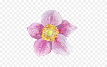 Flower Watercolor painting Ink - Water-color ink flower 