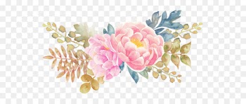 Flower Watercolor painting - Peony flower watercolor painted floral elements 