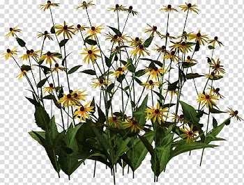 Flower Watercolor painting, plants transparent background PNG clipart