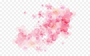 Flower Watercolor painting - Watercolor flowers shading 