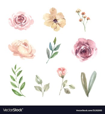 flower wedding watercolor design element on white