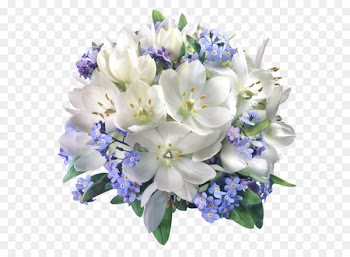 Flower White Clip art - Floral Composition Transparent PNG Picture 