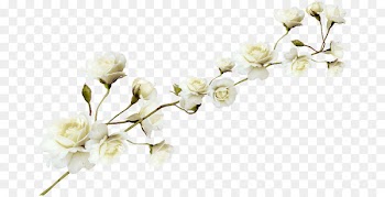 Flower - White flower pattern 