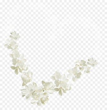 Flower White Petal Right angle - Rectangular white flowers 