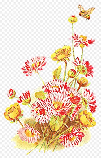 Flower, Wildflower, Floral Design, Plant PNG