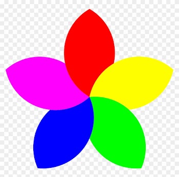 Flower With 5 Petals