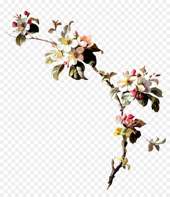 Flower Wreath Clip art - Peach blossom 