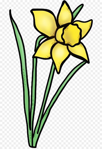 flower yellow clip art plant pedicel