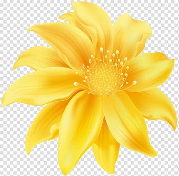 Flower Yellow Desktop , yellow flowers transparent background PNG clipart