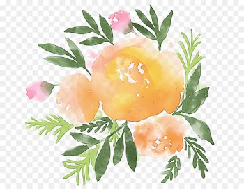 flower yellow plant branch garnish