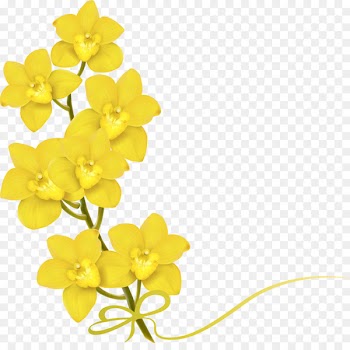 Flower Yellow Stock photography Euclidean vector - A bouquet of flowers 