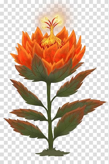 Flowering plant Flowerpot Plant stem Herbaceous plant Wildflower, Flower Autumn transparent background PNG clipart