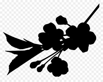Flowering plant Fruit Clip art Line -  