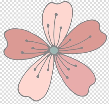 Flowering plant Line , design transparent background PNG clipart