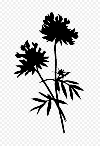 Flowering plant Plant stem Leaf Silhouette -  