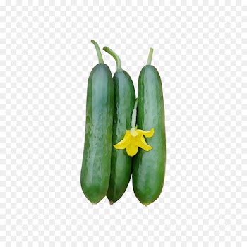 flowering plant plant vegetable bell peppers and chili peppers yellow