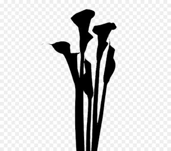 Flowering plant Product Plant stem Silhouette -  