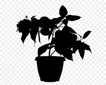 Flowering plant Silhouette Font Leaf -  