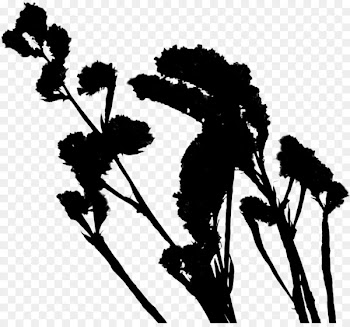 Flowering plant Silhouette Font Plants -  