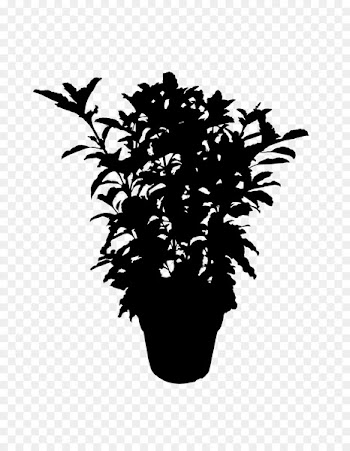 Flowering plant Silhouette Leaf Plants -  