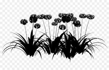 Flowering plant Tree Plants -  