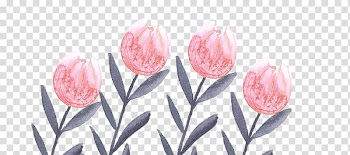 Flowering plant Tulip Cut flowers Floristry, watercolor wedding transparent background PNG clipart