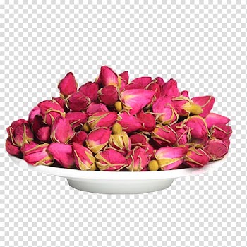 Flowering tea Beach rose Oolong Green tea, Red rose tea leaves transparent background PNG clipart