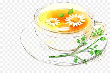Flowering tea Chrysanthemum tea Hibiscus tea - scented tea 